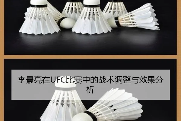 李景亮在UFC比赛中的战术调整与效果分析
